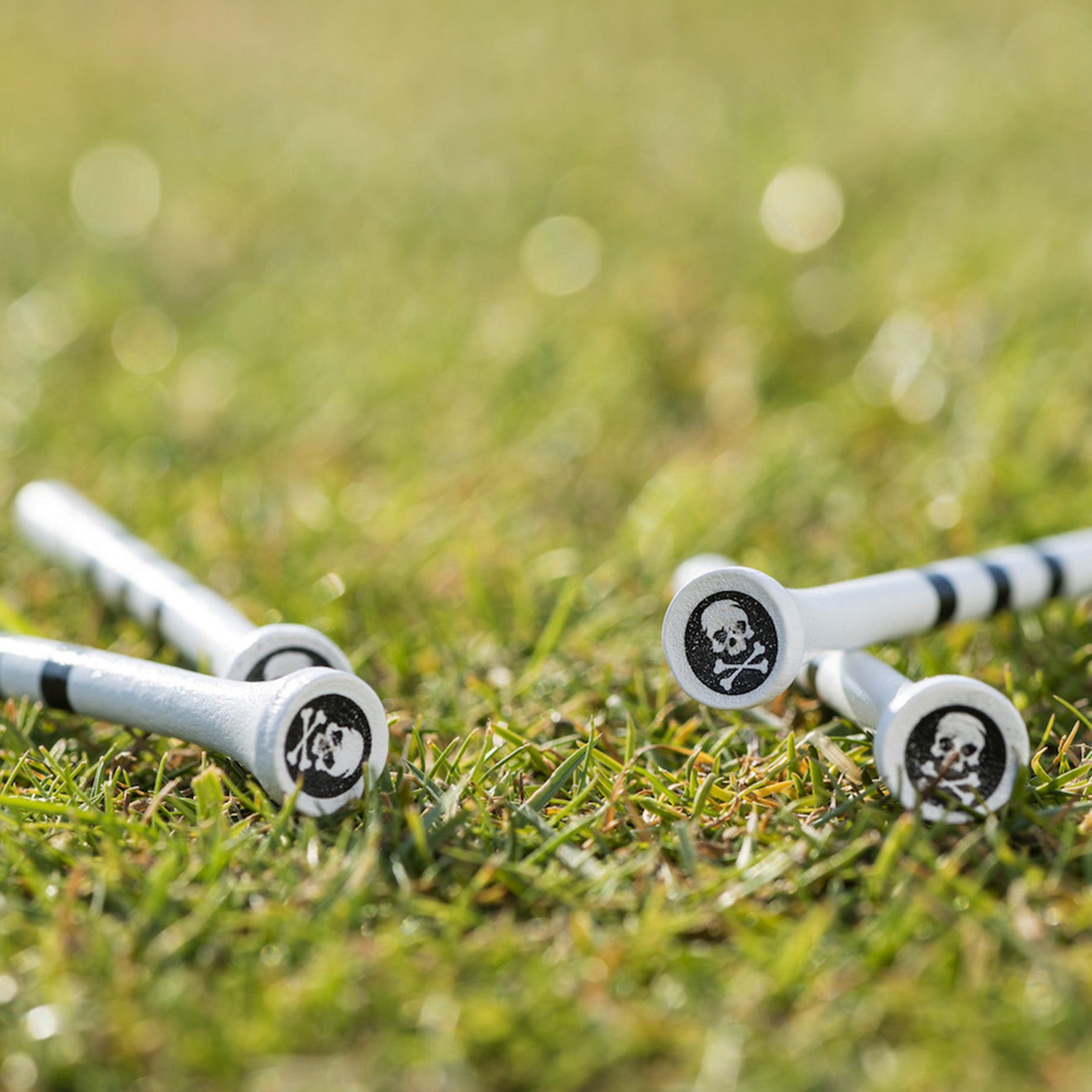 Skull and Crossbones tee